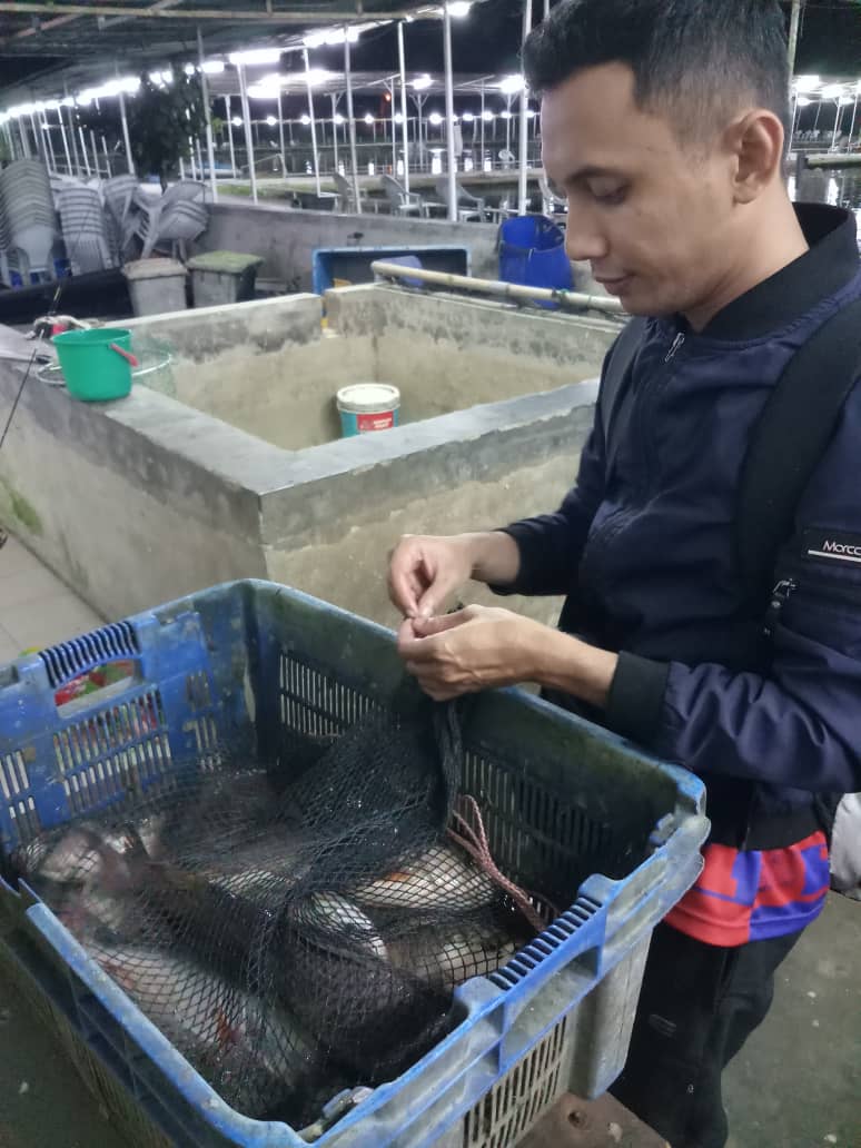 Kolam pancing Kolam Pancing Mambau