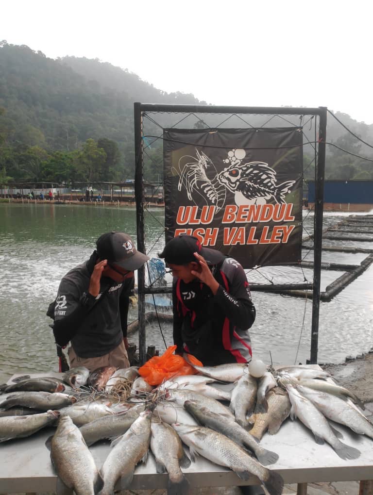 Ulu Bendul Fish Valley, kolam pancing di Tanjung Ipoh, Negeri Sembilan (gambar 2)