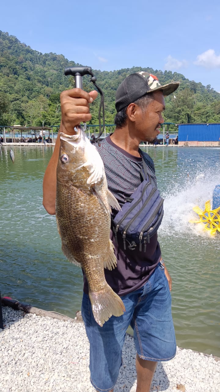 Ulu Bendul Fish Valley, kolam pancing di Tanjung Ipoh, Negeri Sembilan (gambar 3)