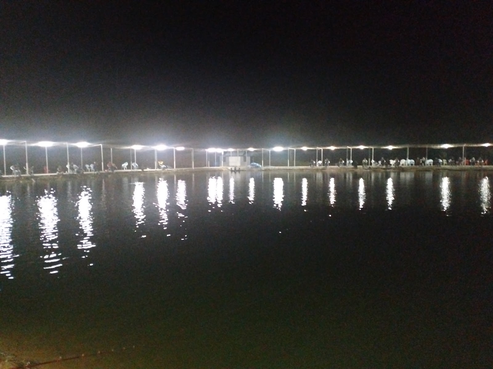 Kolam memacing Shahidan 66, fishing pond in Seremban, Negeri Sembilan (photo 2)
