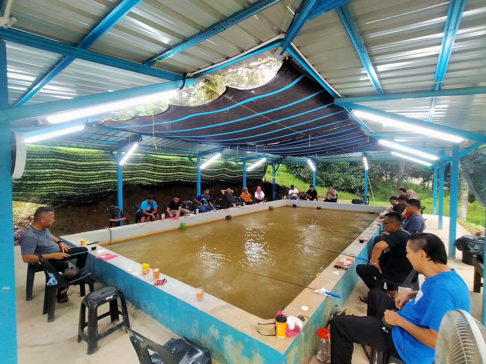 Kolam pancing kolam mancing udang galah rembau