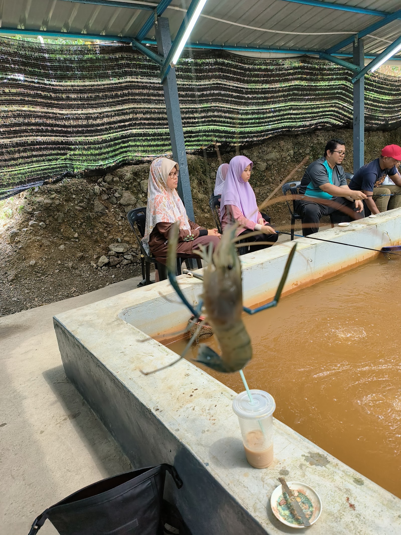 kolam mancing udang galah rembau, kolam pancing di Rembau, Negeri Sembilan (gambar 3)