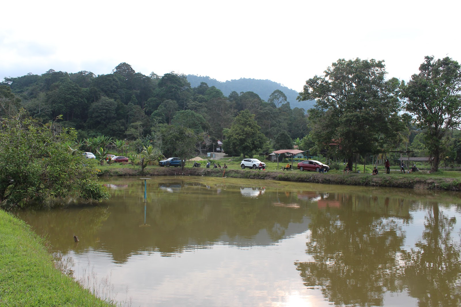 Kolam pancing Kolam Pancing Berlauk Aira