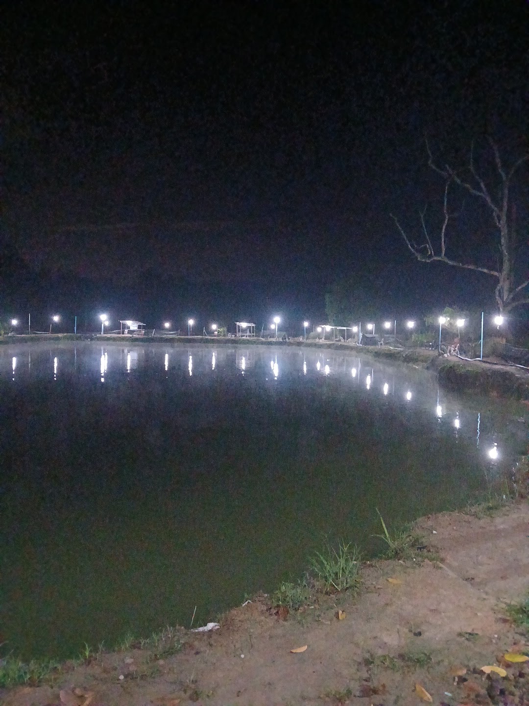 Kolam pancing pak ayon fishing pond