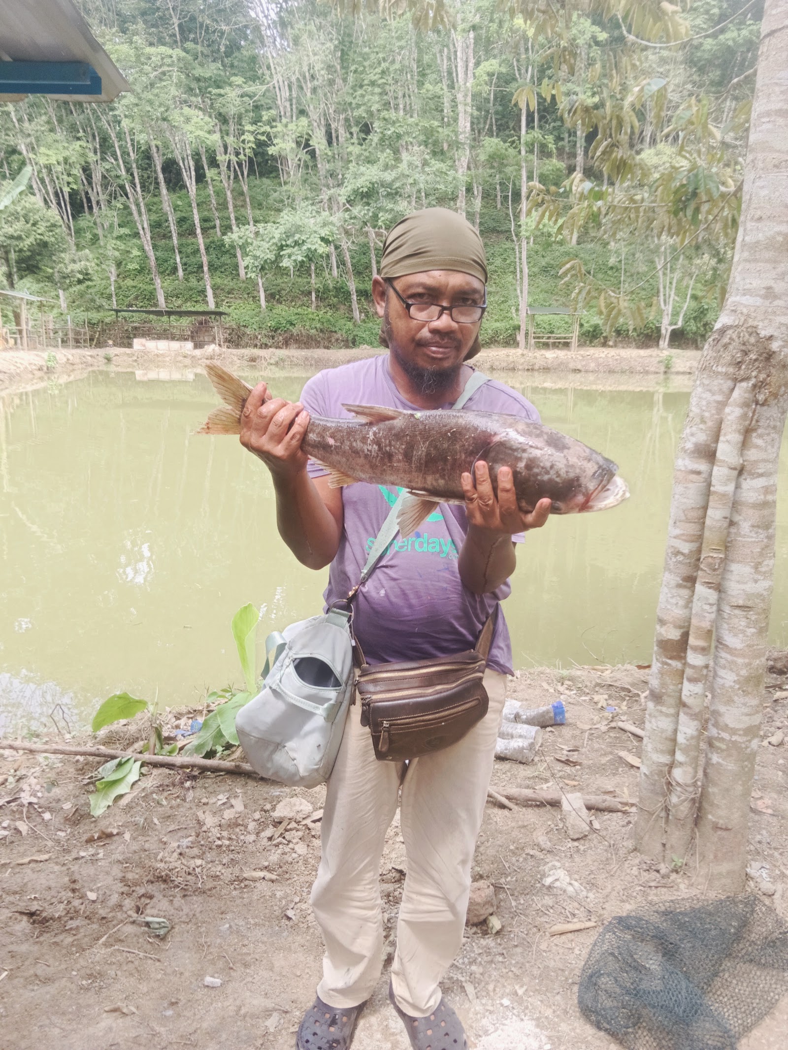 Kolam Pancing Tuju, fishing pond in Kuala Klawang, Negeri Sembilan (photo 2)