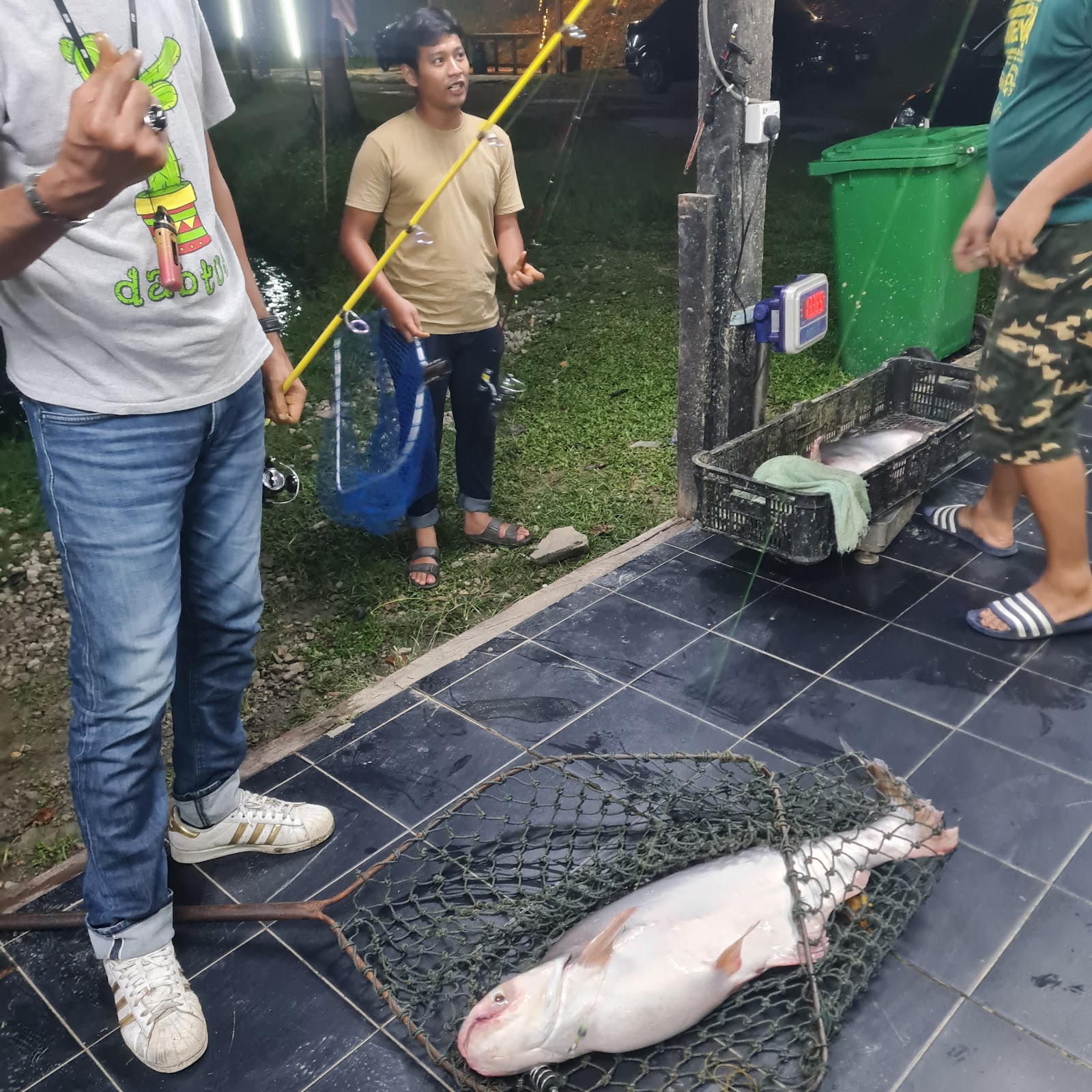 Kolam Pancing Panchor ii, fishing pond in Seremban, Negeri Sembilan (photo 3)