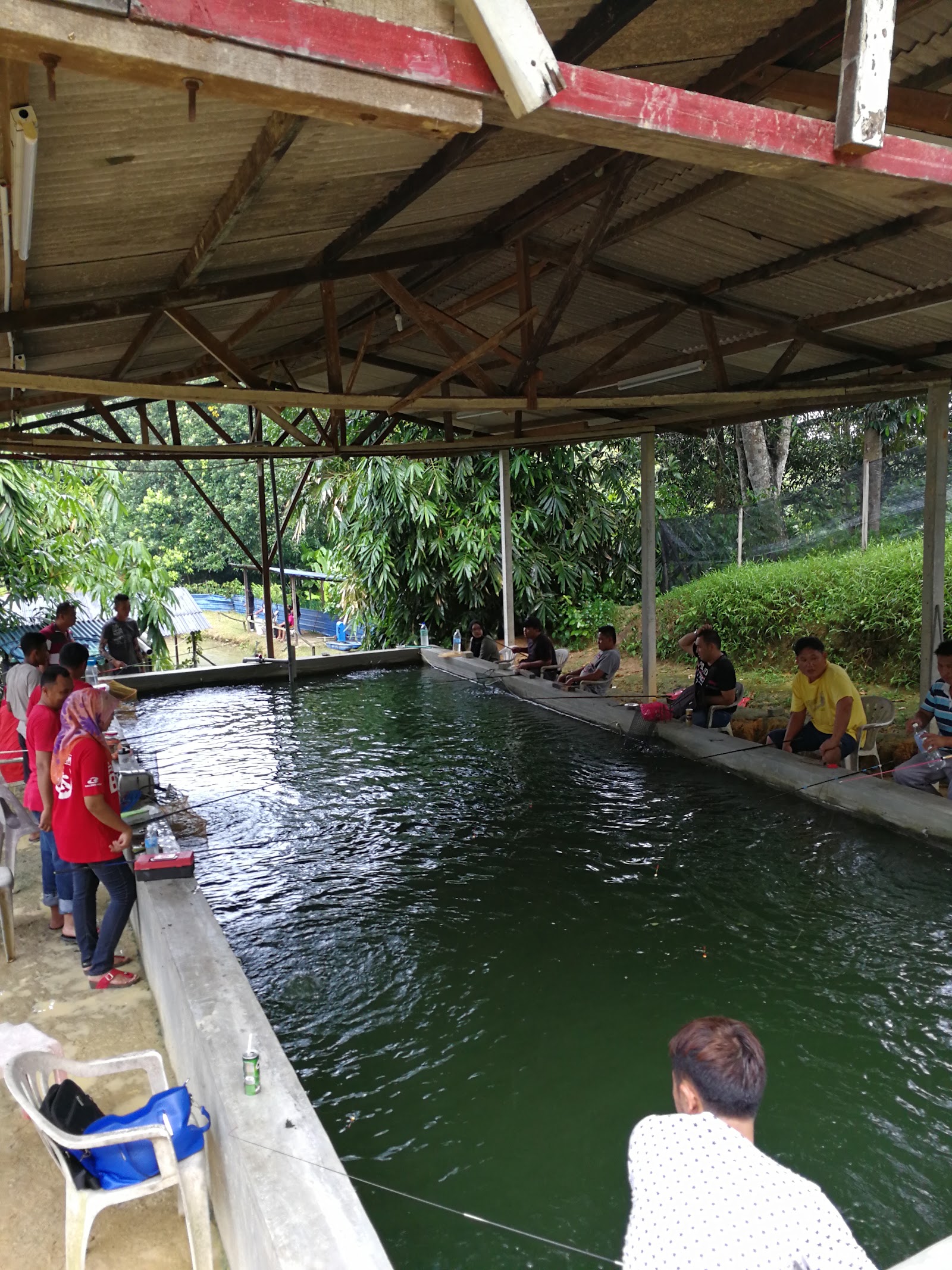 Kolam pancing Kolam Pancing Udang Jimah Baru