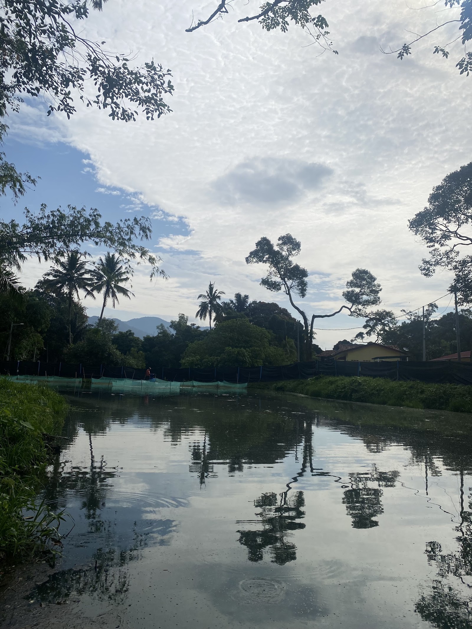 Kolam Pancing Kg Berkat, fishing pond in Rembau, Negeri Sembilan (photo 2)