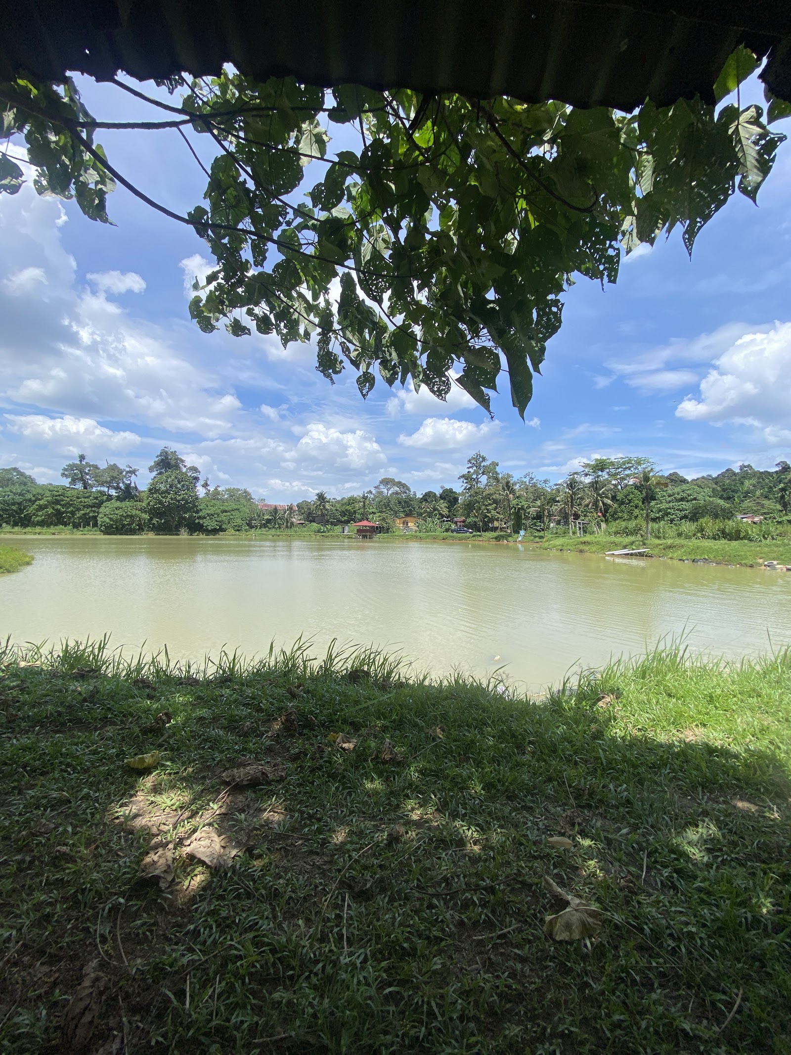 Kolam Pancing Awai Kampung Gebok, kolam pancing di Mantin, Negeri Sembilan (gambar 2)