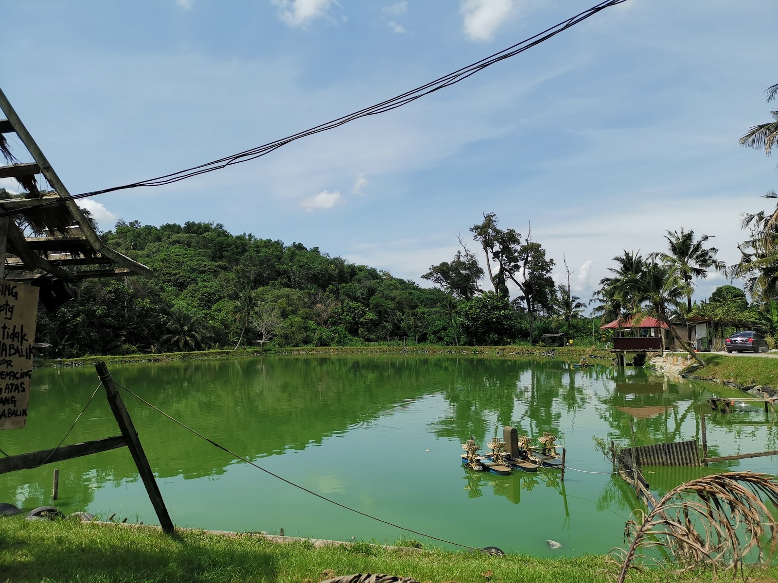 Kolam Pancing Awai Kampung Gebok, kolam pancing di Mantin, Negeri Sembilan (gambar 3)