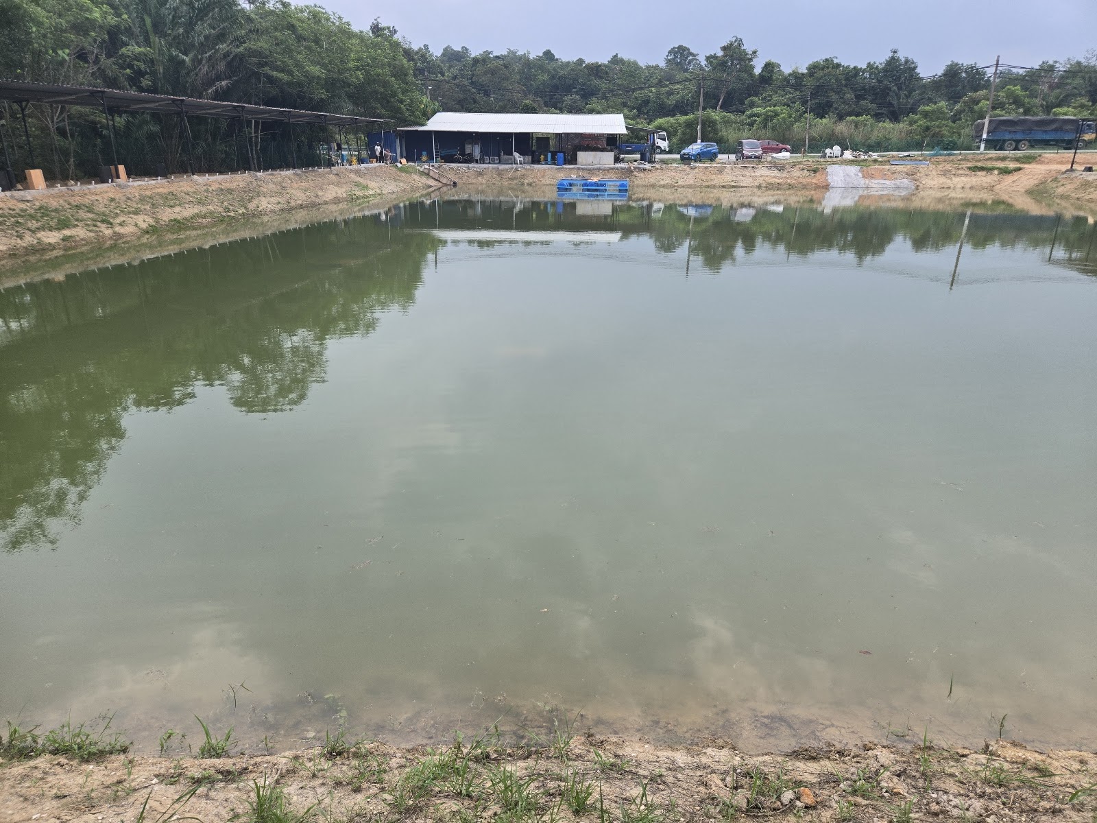 LSN Pancing Podeh Linggi, kolam pancing di Pedas, Negeri Sembilan (gambar 2)