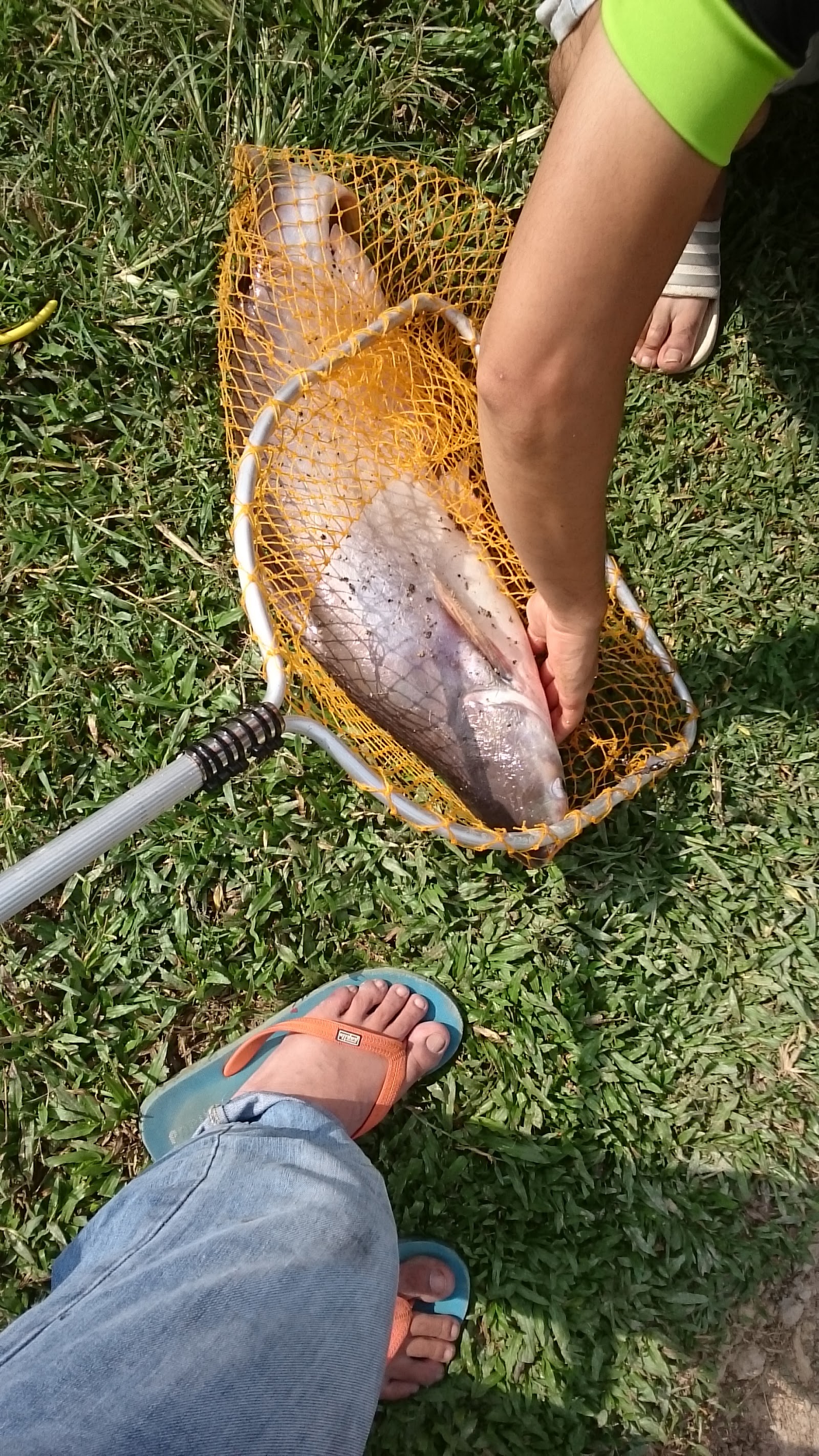 Alang Saleh Fish Pond, kolam pancing di Rantau, Negeri Sembilan (gambar 2)
