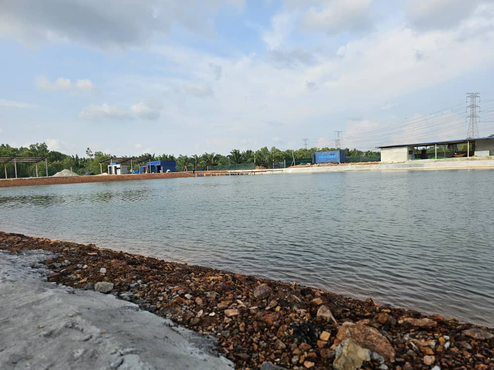 ALI FISHING CLUB, kolam pancing di Port Dickson, Negeri Sembilan (gambar 2)