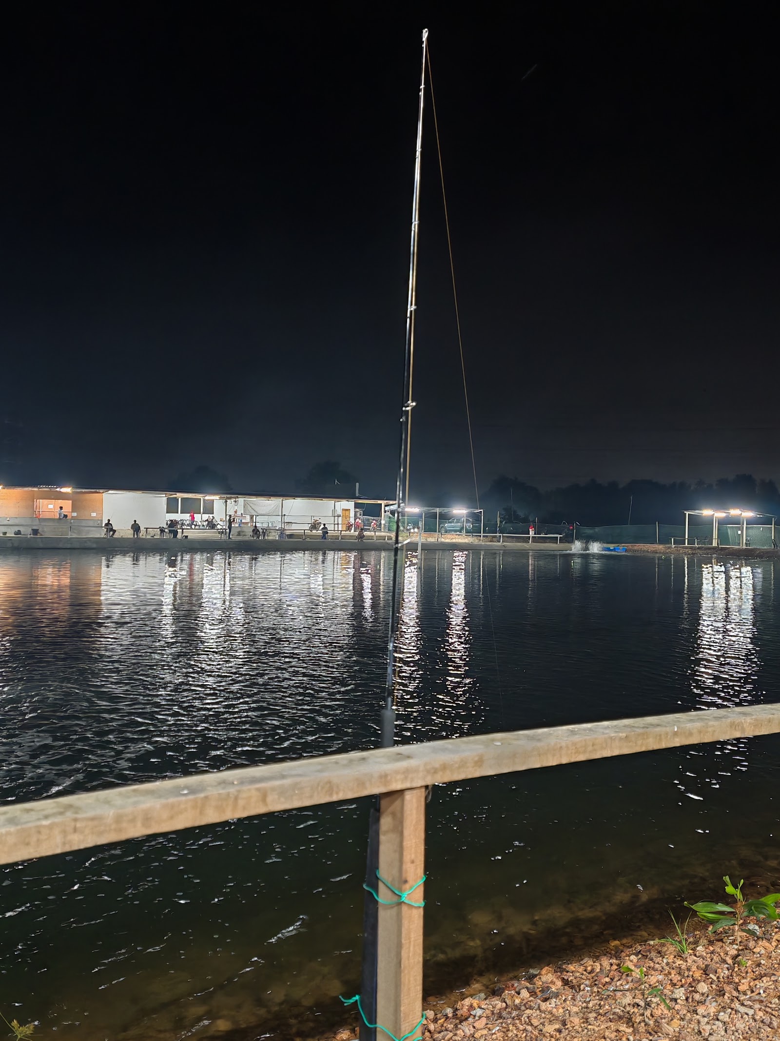 ALI FISHING CLUB, kolam pancing di Port Dickson, Negeri Sembilan (gambar 3)