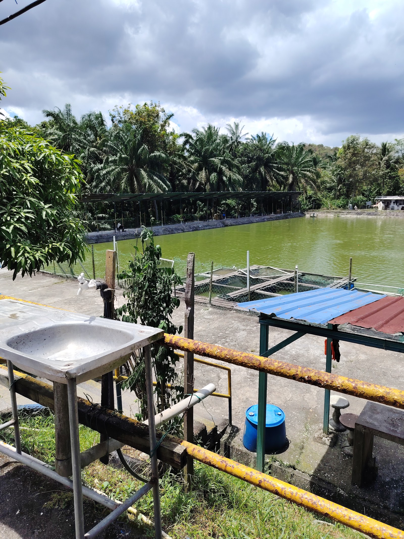 KOLAM PANCING CHE WAN SALAK TINGGI, kolam pancing di Sepang, Selangor (gambar 3)