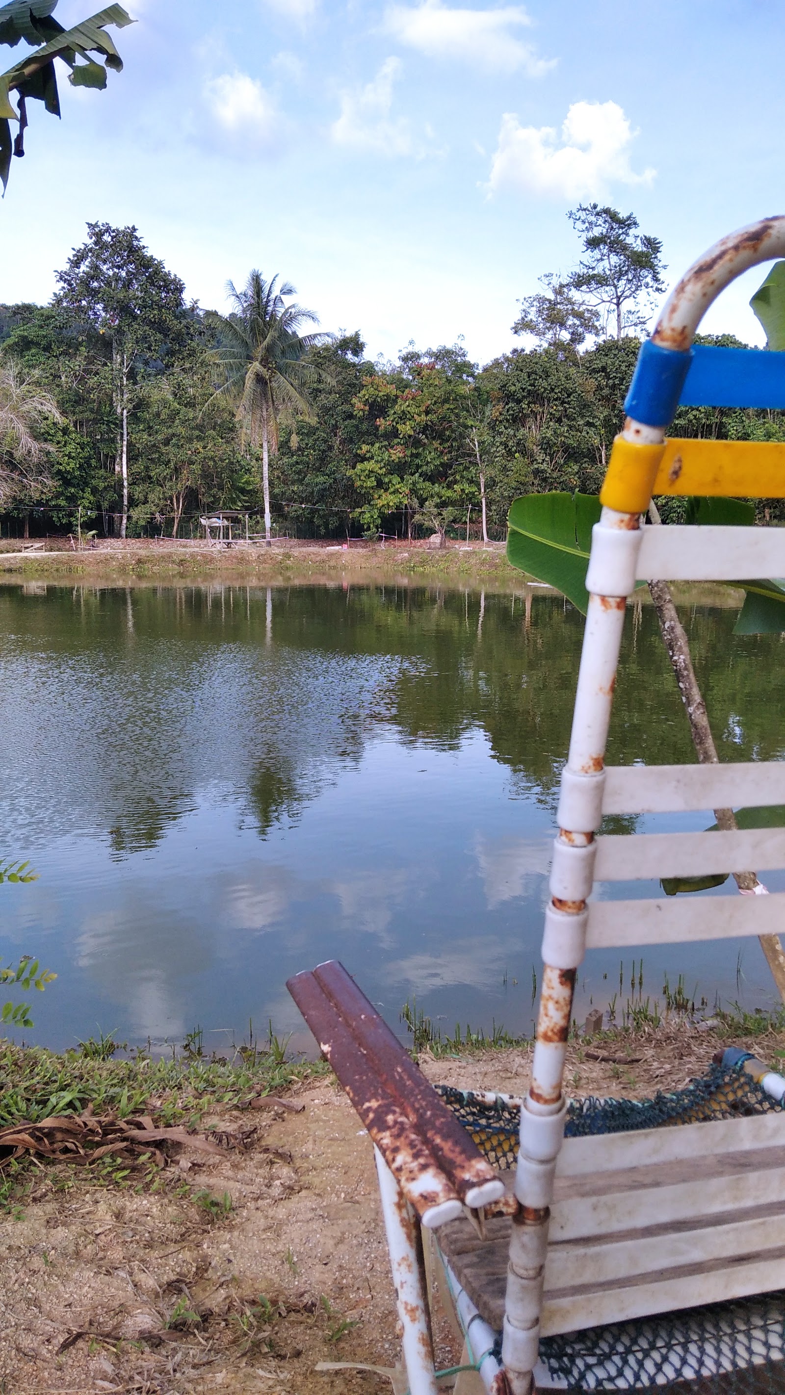 Kolam pancing Bonda Kolam Pancing Berlauk