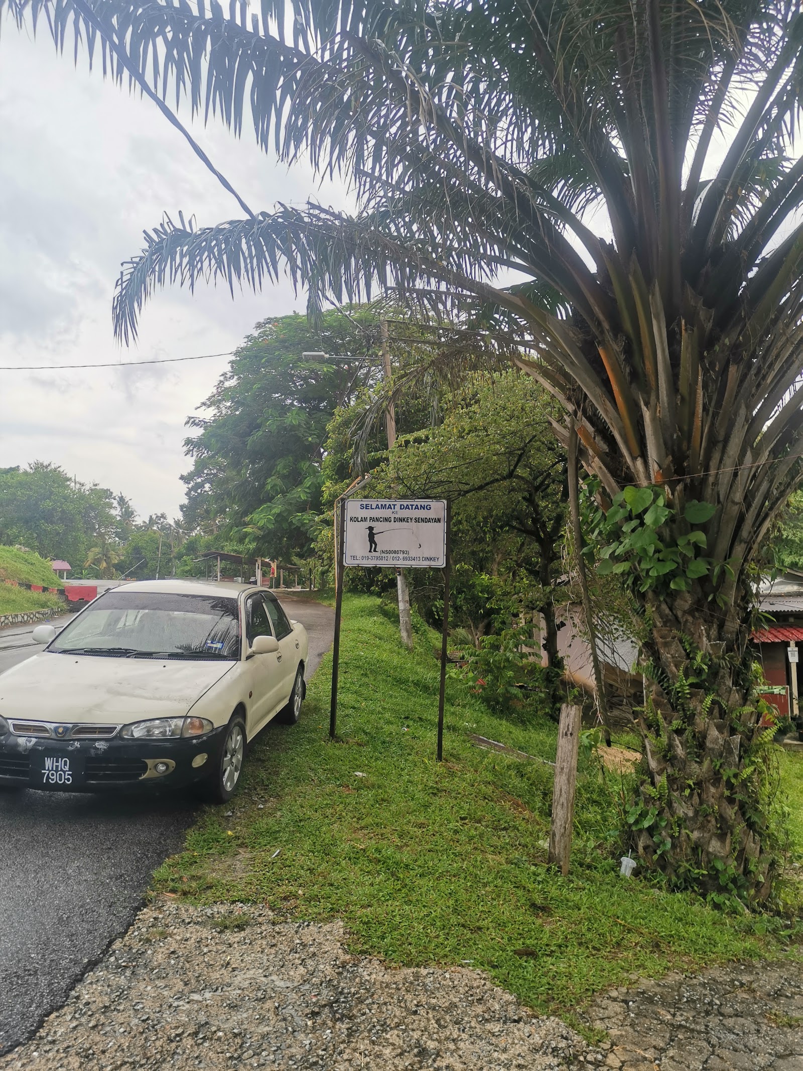 kolam pancing Dinkey sendayan, kolam pancing di Siliau, Negeri Sembilan (gambar 2)