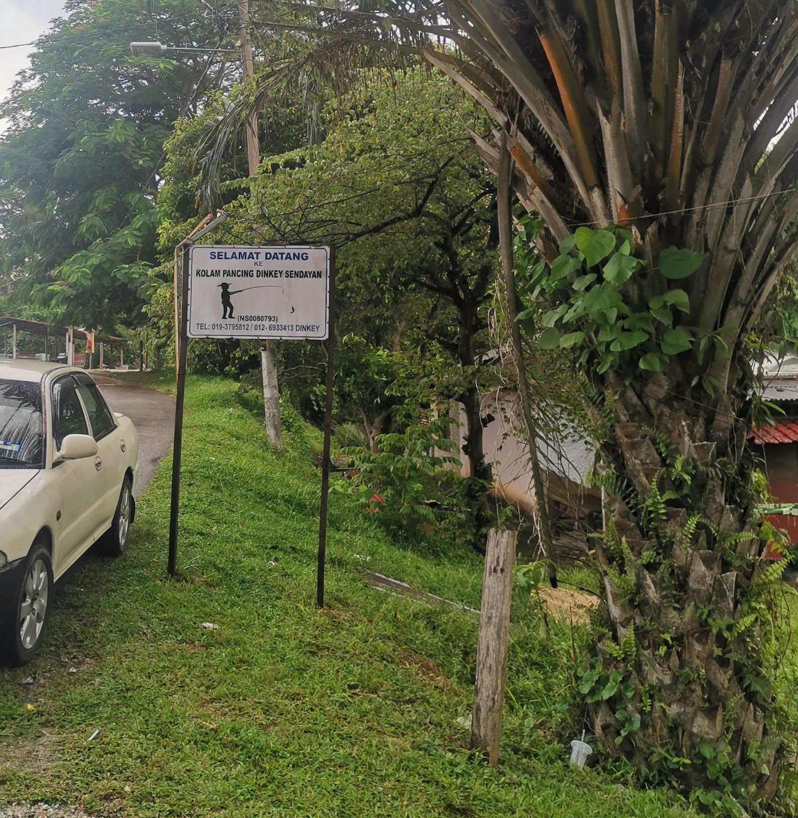 kolam pancing Dinkey sendayan, kolam pancing di Siliau, Negeri Sembilan (gambar 3)
