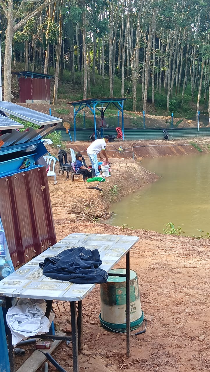 Kolam pancing KOLAM PANCING D21
