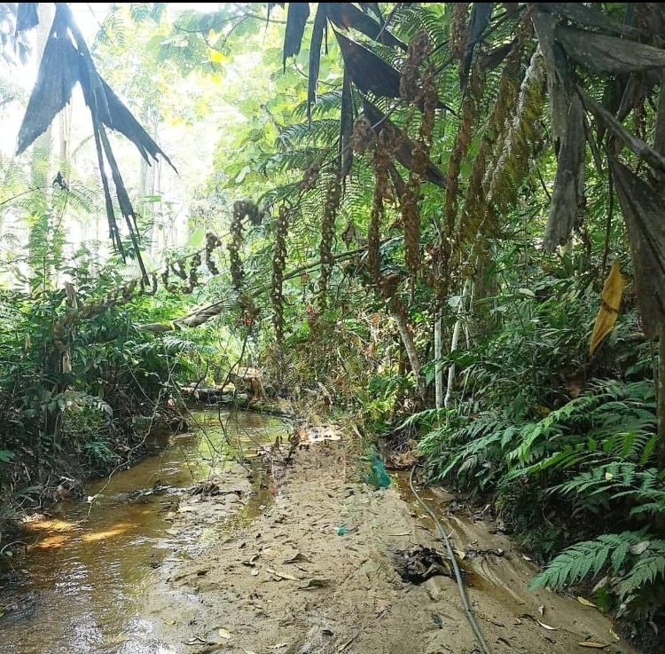 Kolam pancing Persiaran Dataran Stream