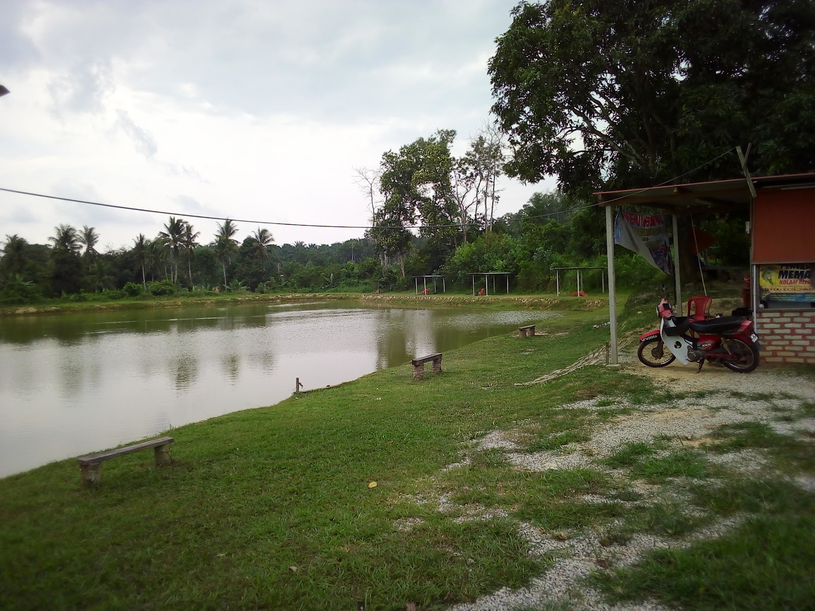 Kolam pancing Kolam Aleesya Palong Satu