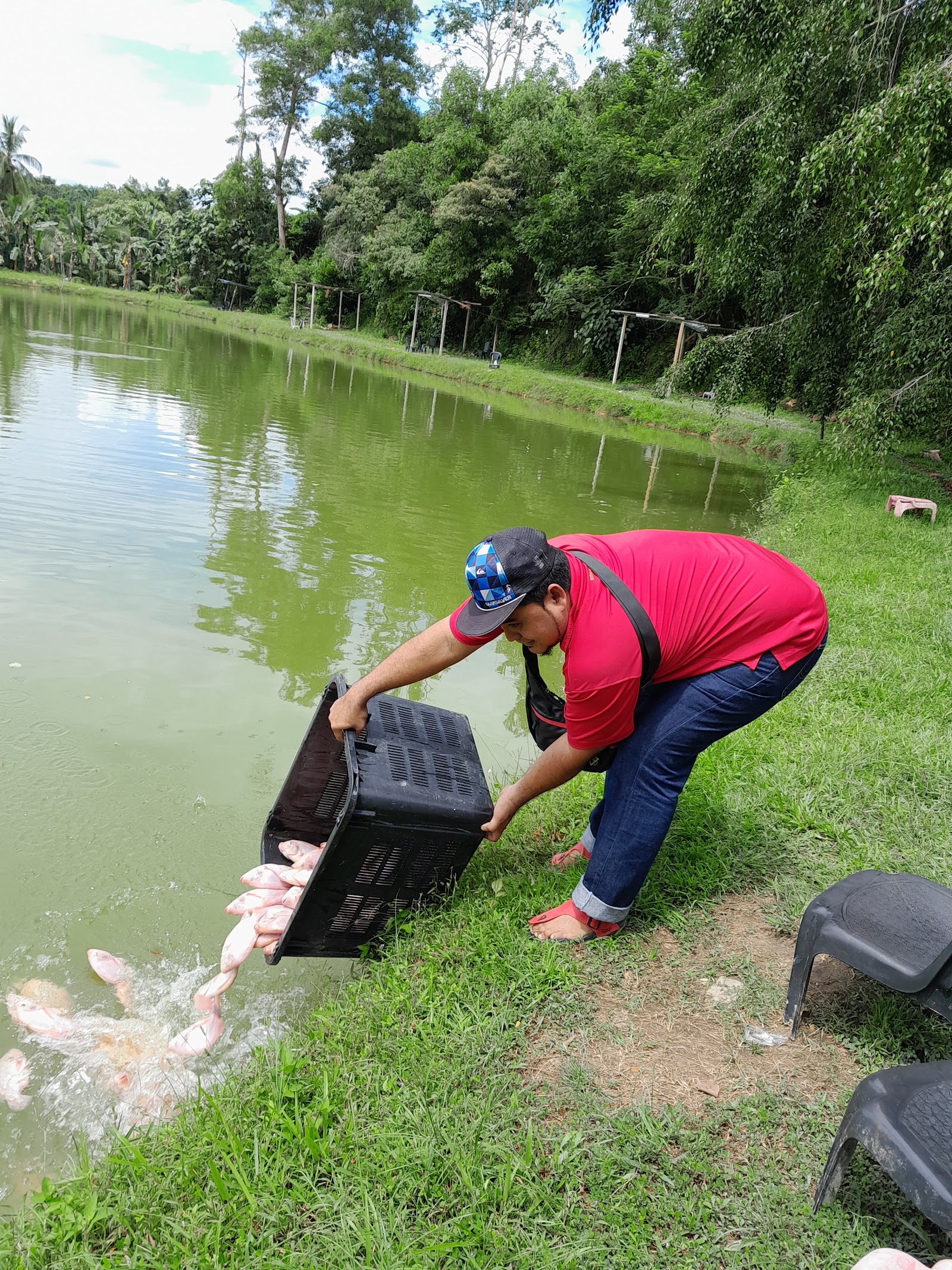 Kolam Aleesya Palong Satu, fishing pond in Gemas, Negeri Sembilan (photo 2)