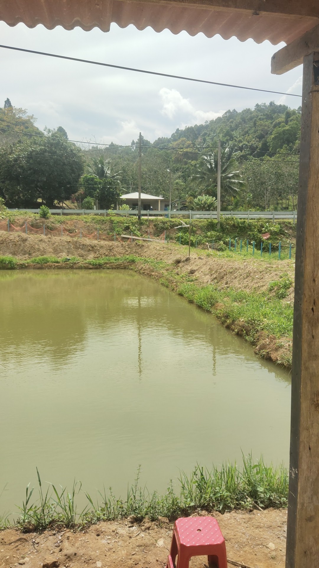 Kolam pancing berlauk muner, fishing pond in Gemencheh, Negeri Sembilan (photo 3)