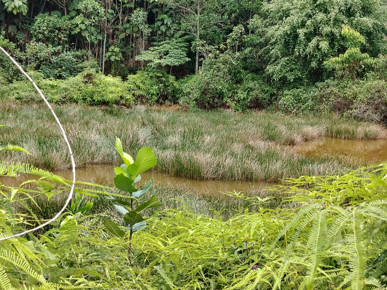 Kolam pancing Persiaran Maktab Pond