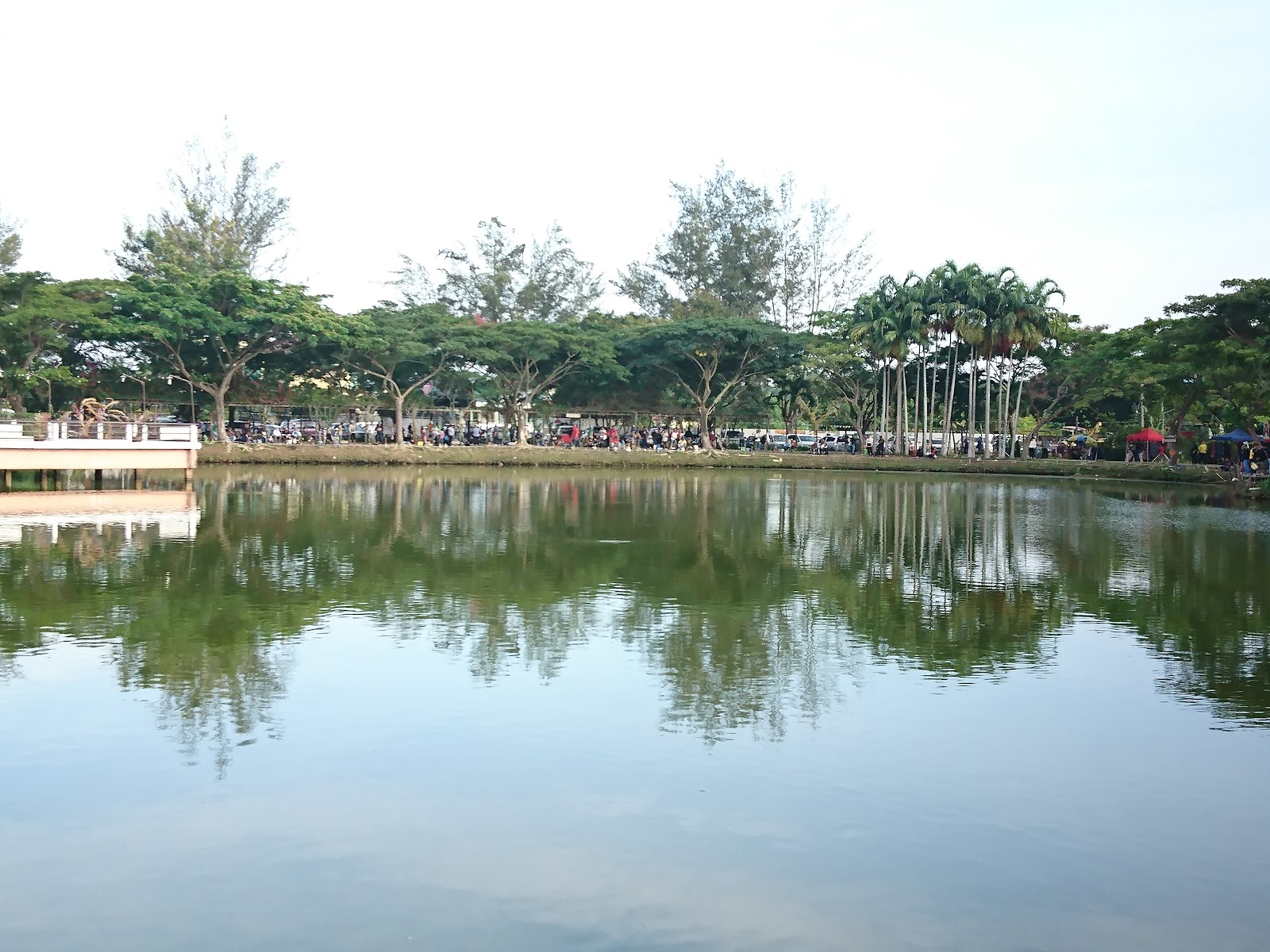 Kolam MGP Miri, fishing pond in Miri, Sarawak (photo 2)