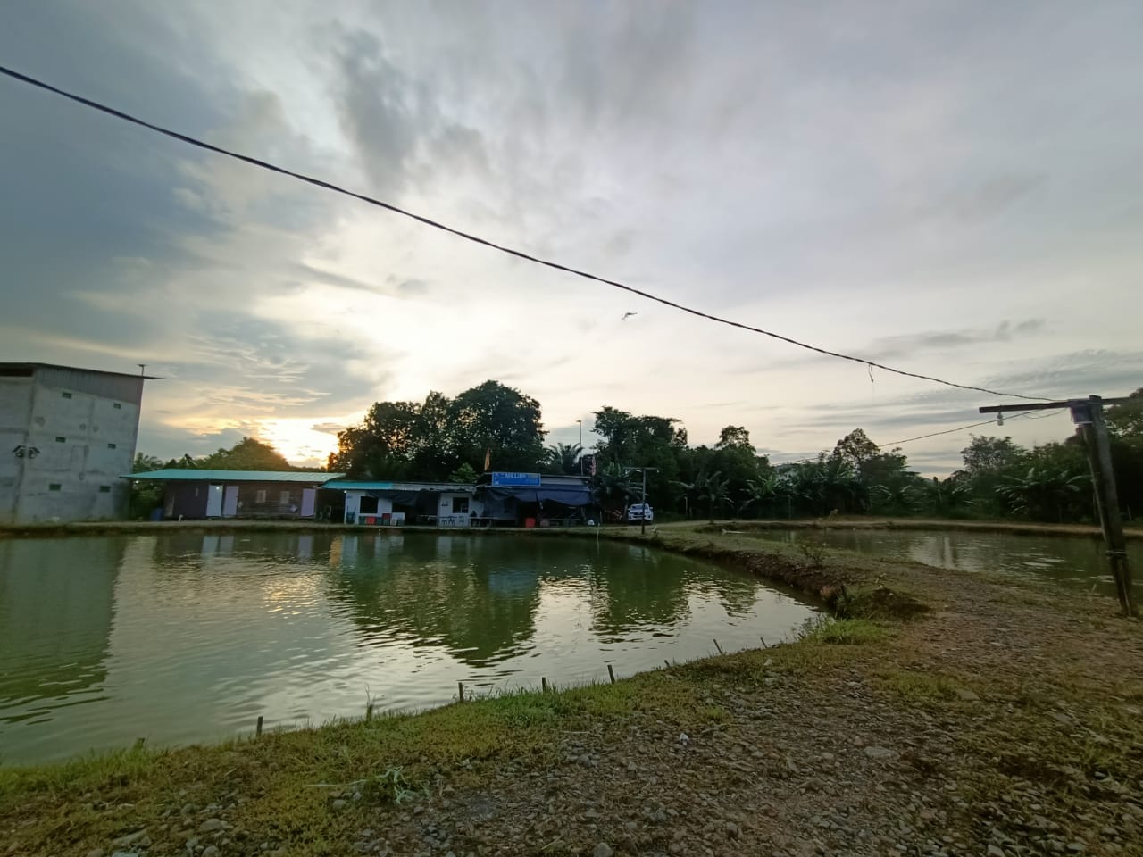 Million fish pond, fishing pond in Bintulu, Sarawak (photo 3)