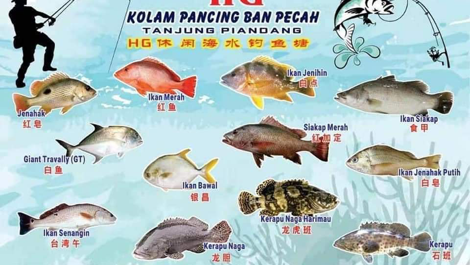 Kolam pancing HG Kolam Pancing Ban Pecah