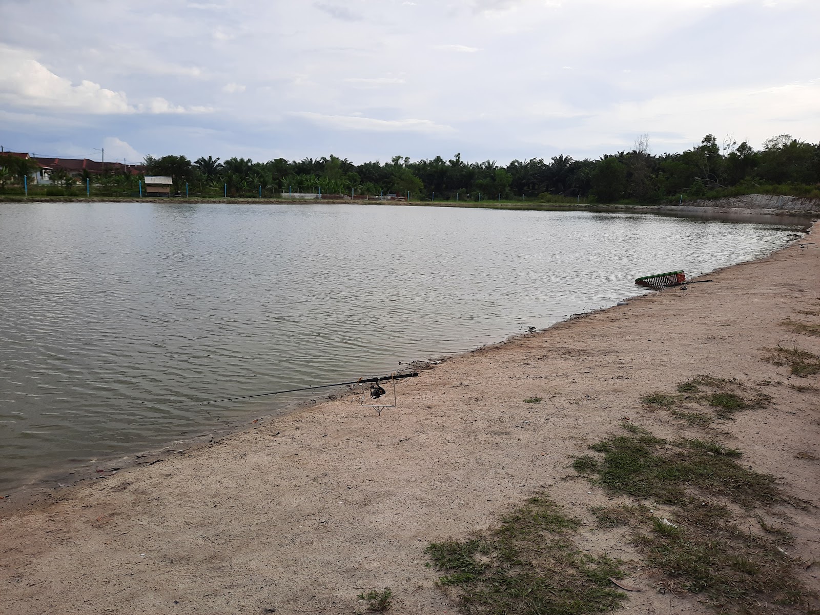 Kolam Pancing Kelimas Enterprise, fishing pond in Siputeh, Perak (photo 3)