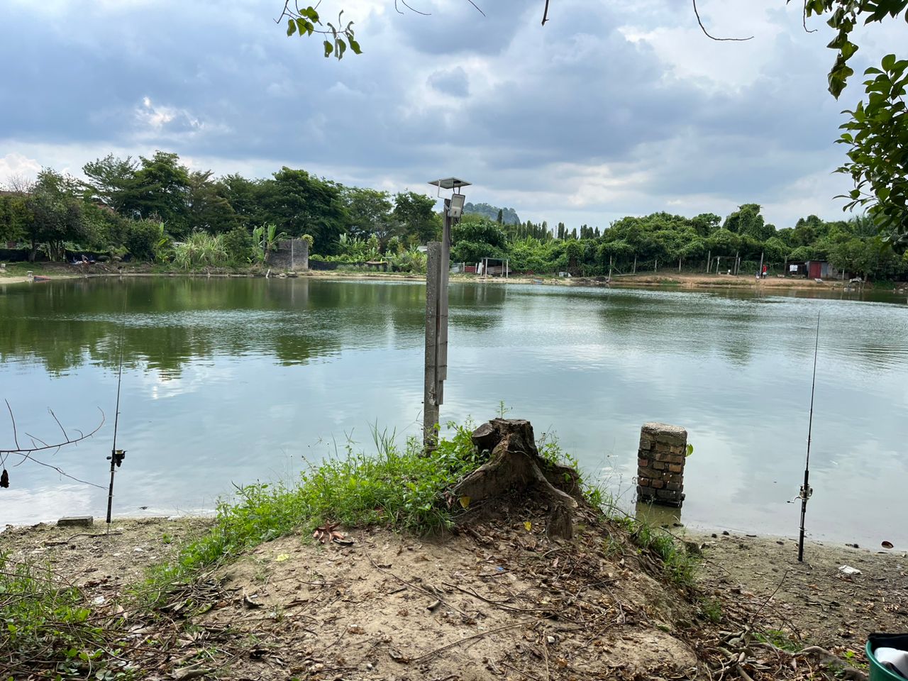 Kolam memancing LS, kolam pancing di Ulu Kinta, Perak (gambar 2)