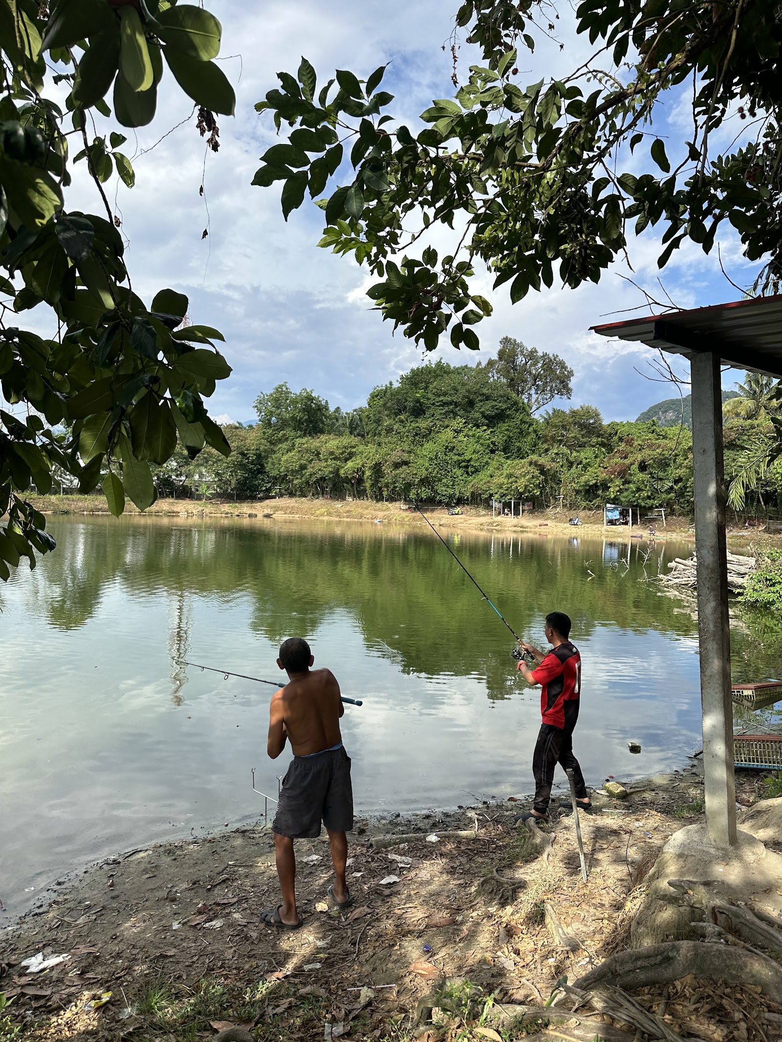 Kolam memancing LS, kolam pancing di Ulu Kinta, Perak (gambar 3)