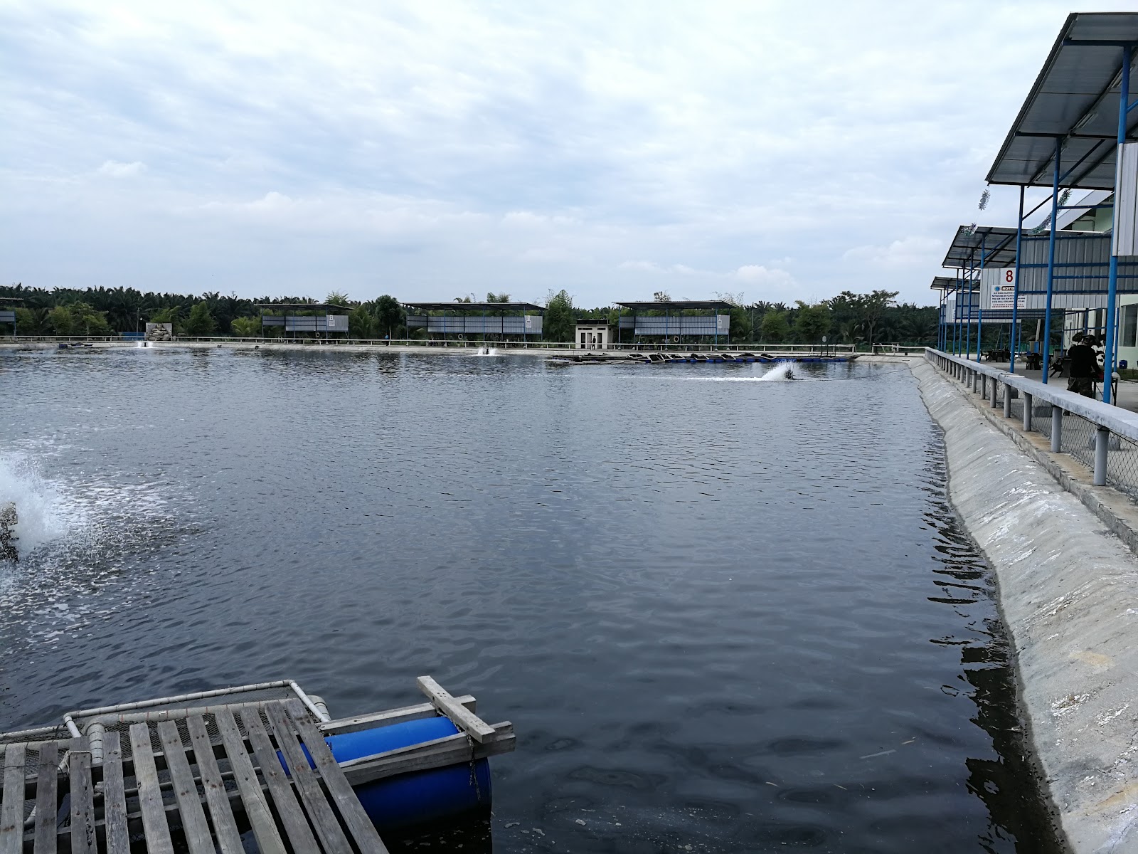 Kolam pancing Meranti Fishing Farm (美兰帝休闲海水钓鱼场)