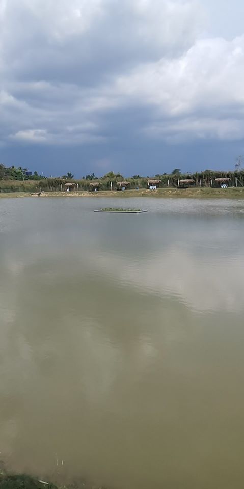 Kolam Pancing Tok Kg Gajah, kolam pancing di Kampung Gajah, Perak (gambar 2)
