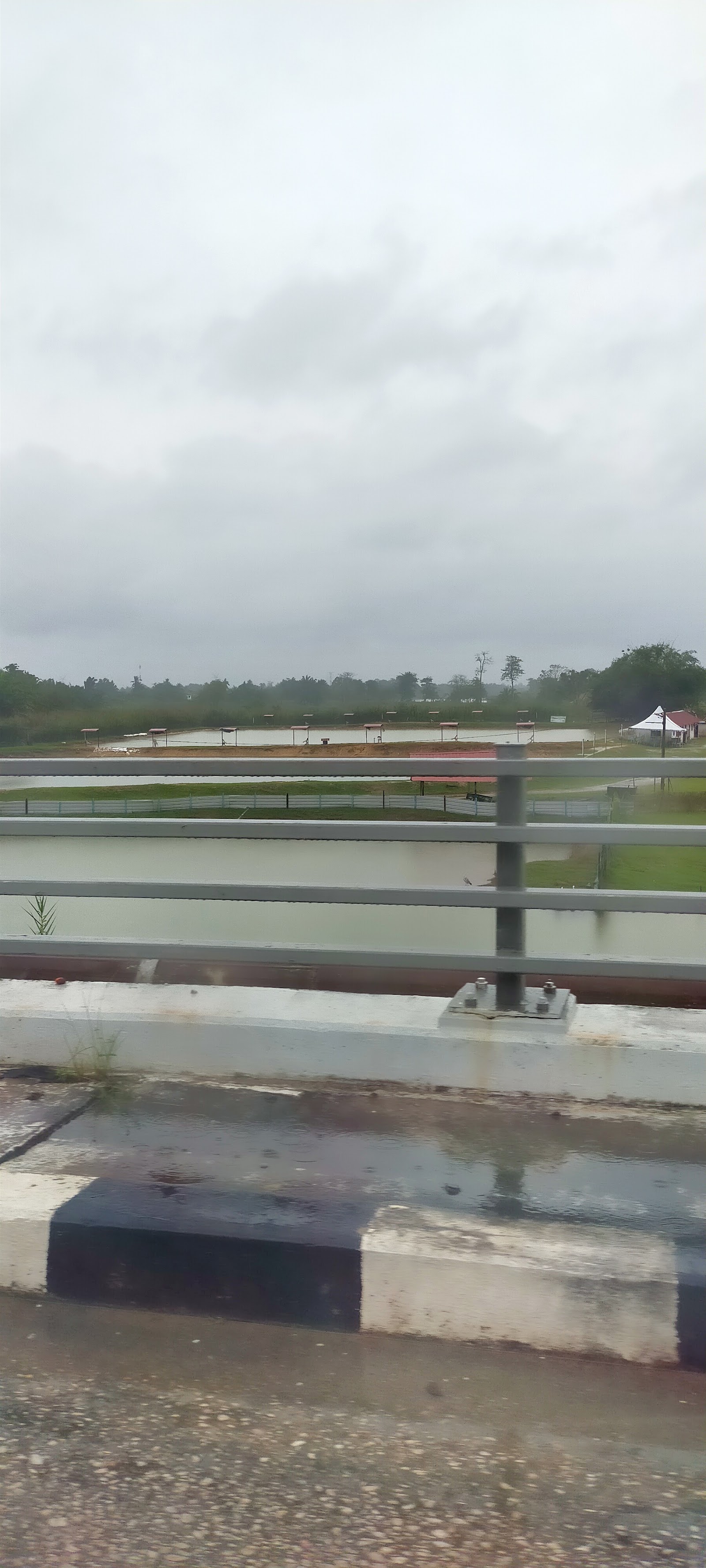 Kolam Pancing Tok Kg Gajah, kolam pancing di Kampung Gajah, Perak (gambar 3)