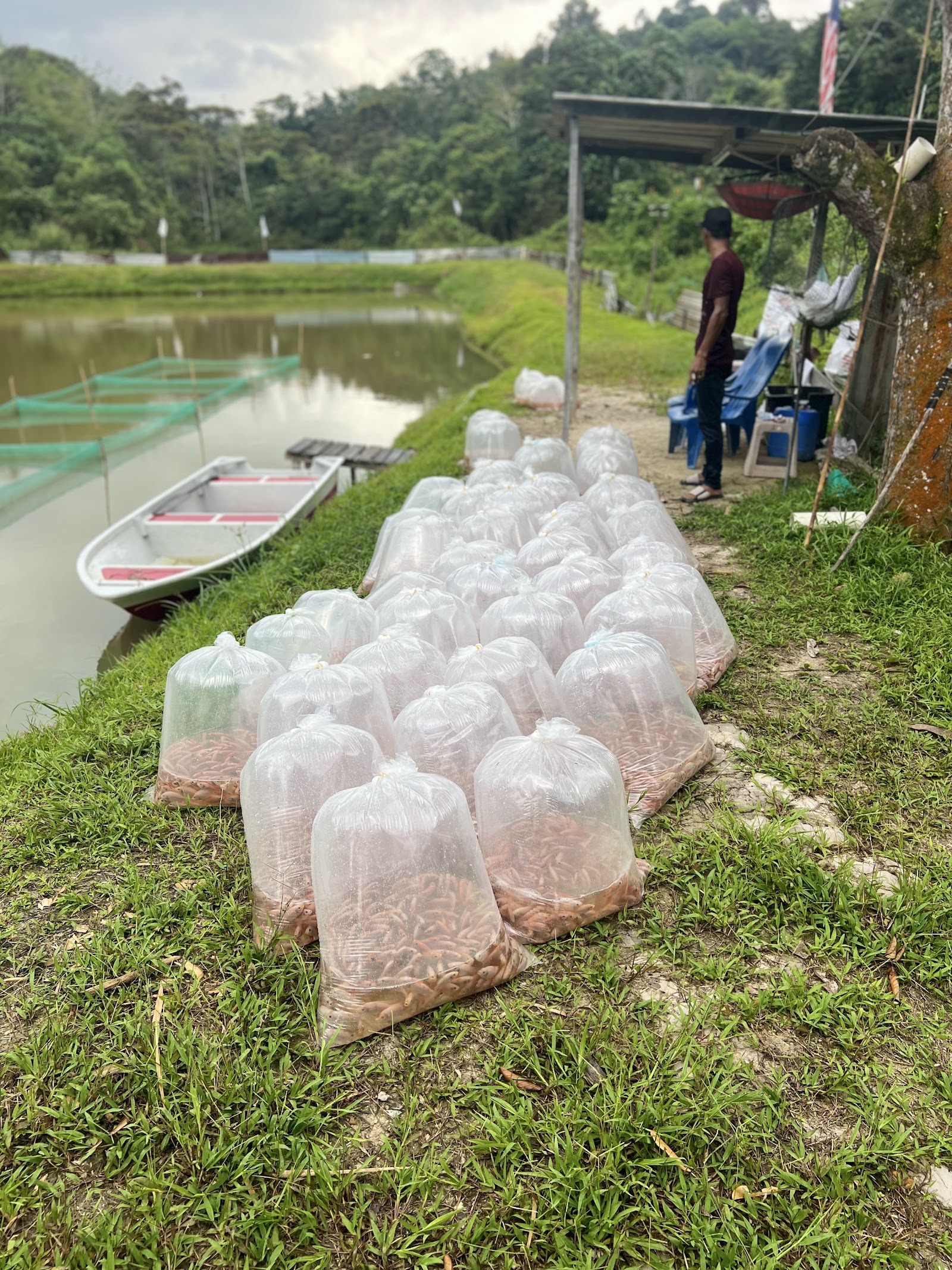 Kolam pancing Kolam Pancing Air Tawar Mos D’Virgin River
