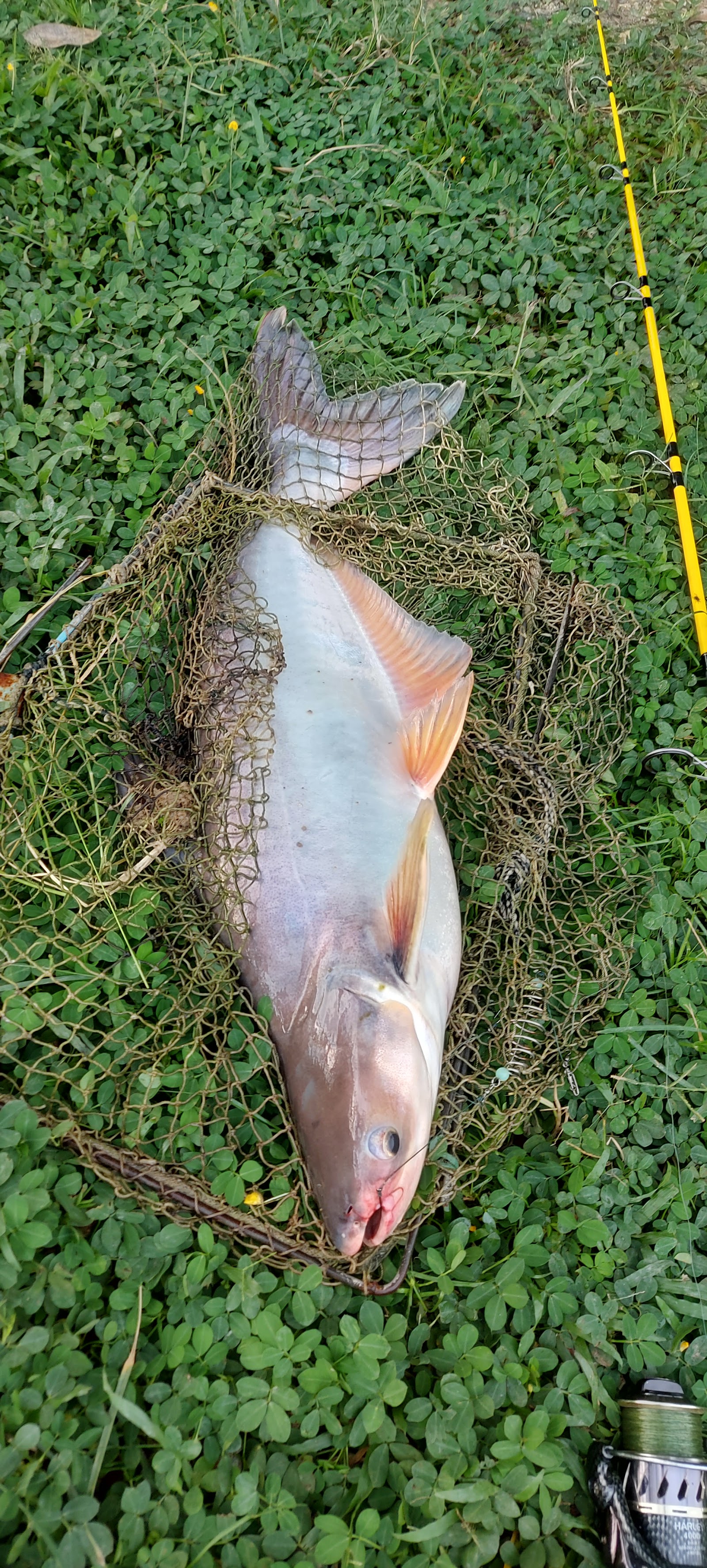Kolam pancing kolam pancing ulu kuang