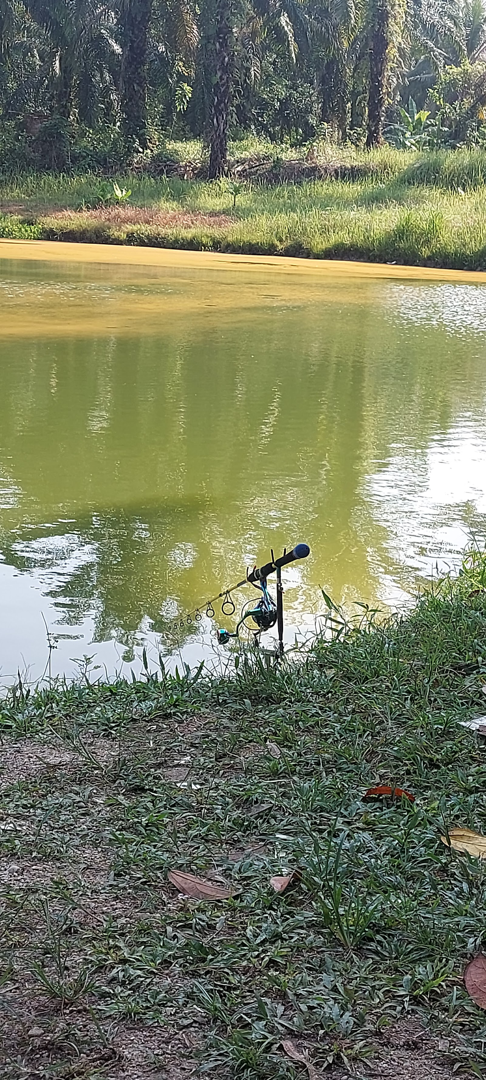 kolam pancing ulu kuang, kolam pancing di Chemor, Perak (gambar 2)