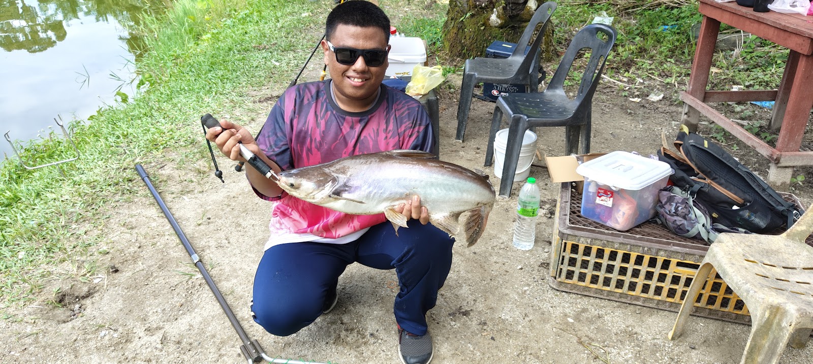 kolam pancing ulu kuang, kolam pancing di Chemor, Perak (gambar 3)