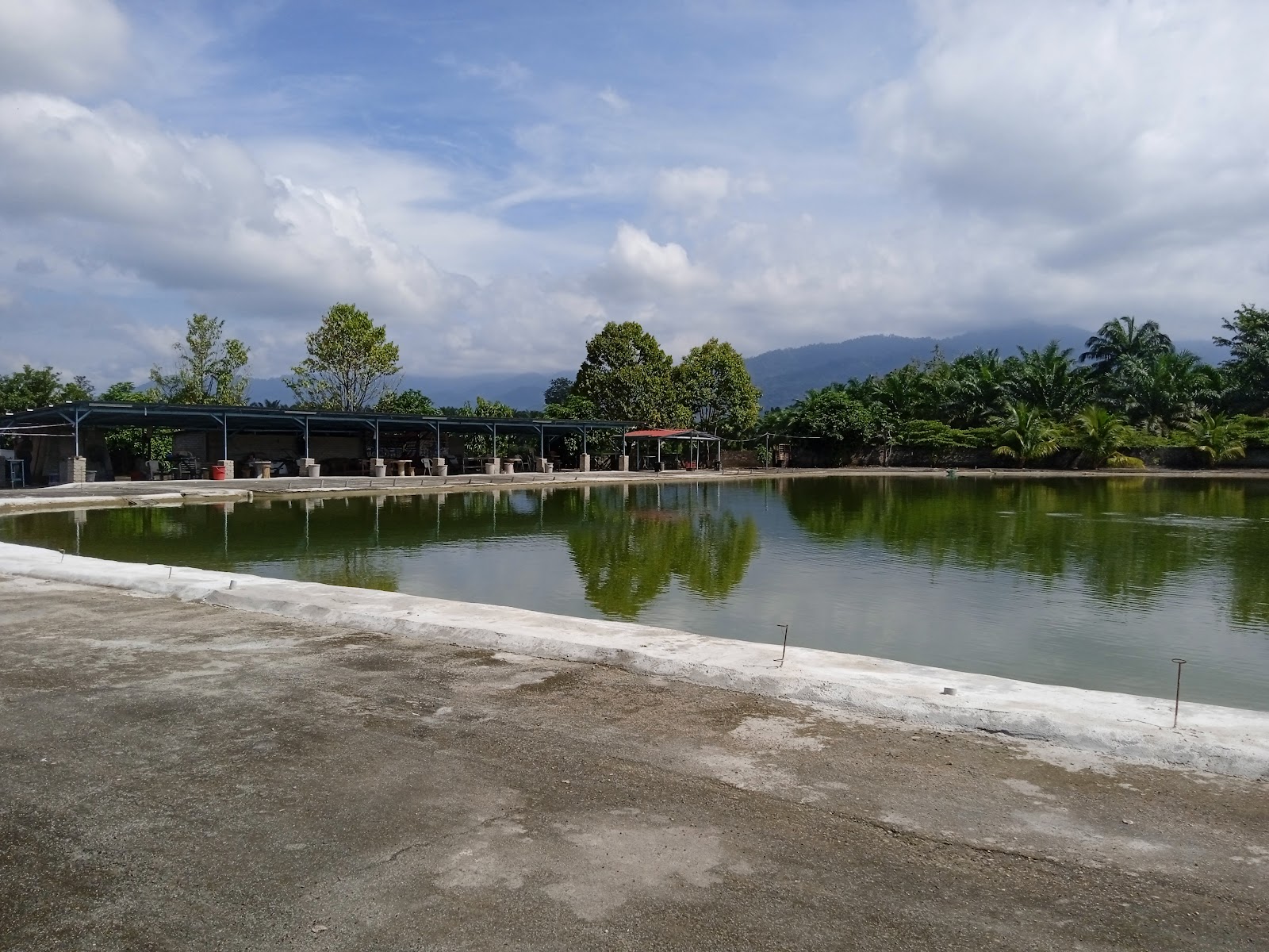 Kolam pancing Kolam Pancing Malaya Blues