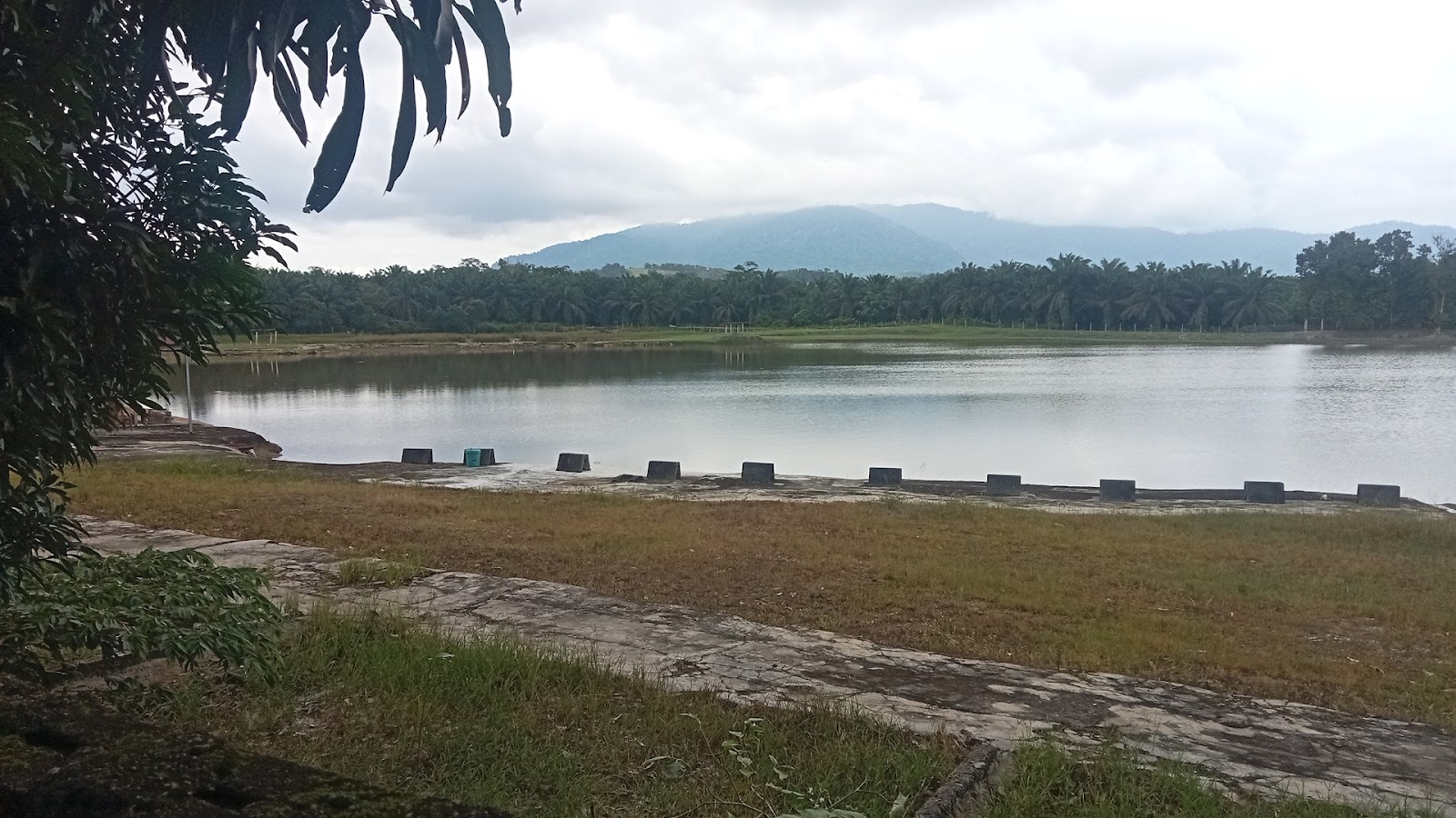Kolam Pancing Malaya Blues, fishing pond in Temoh, Perak (photo 2)