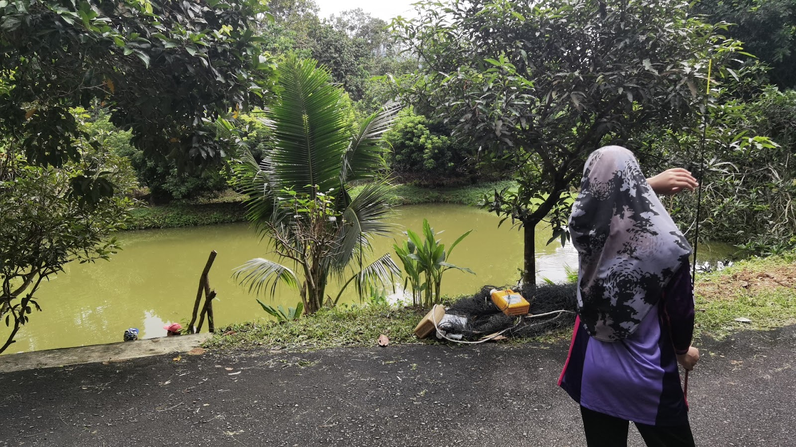 Kolam pancing Kolam Memancing Mat Kong