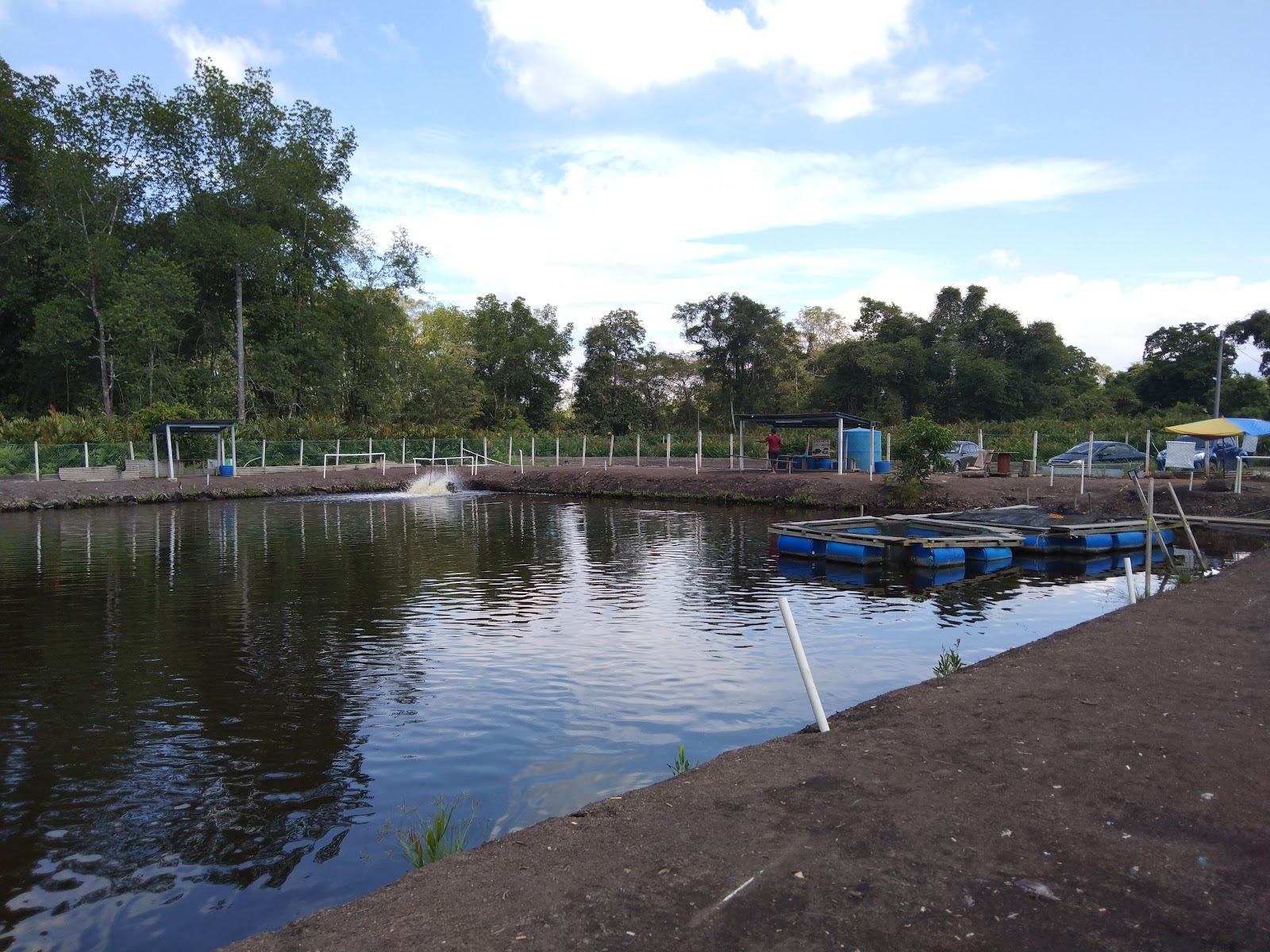 Kolam Pancing Alam Damai fishing pond