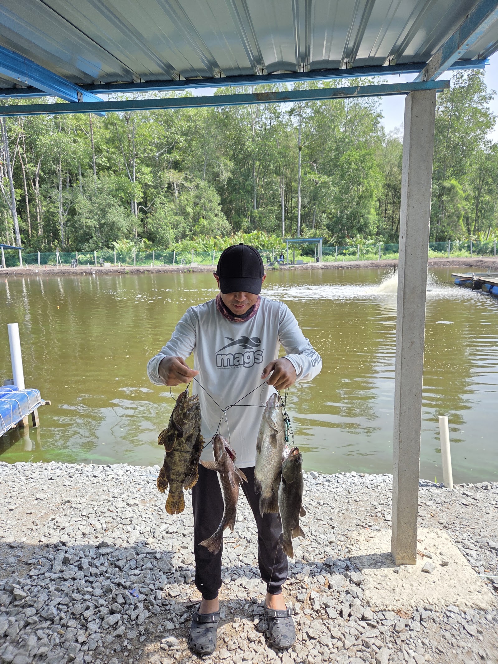 Kolam Pancing Alam Damai, fishing pond in Matang, Perak (photo 3)
