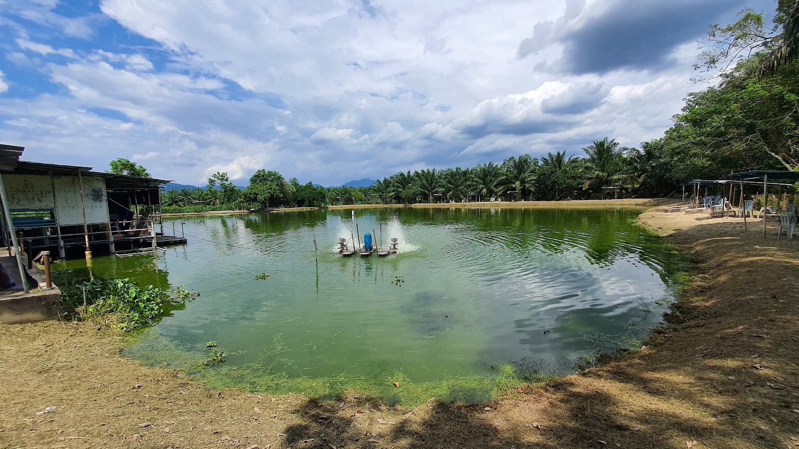 TSK Perkasa Fishing Park, fishing pond in Manong, Perak (photo 1)