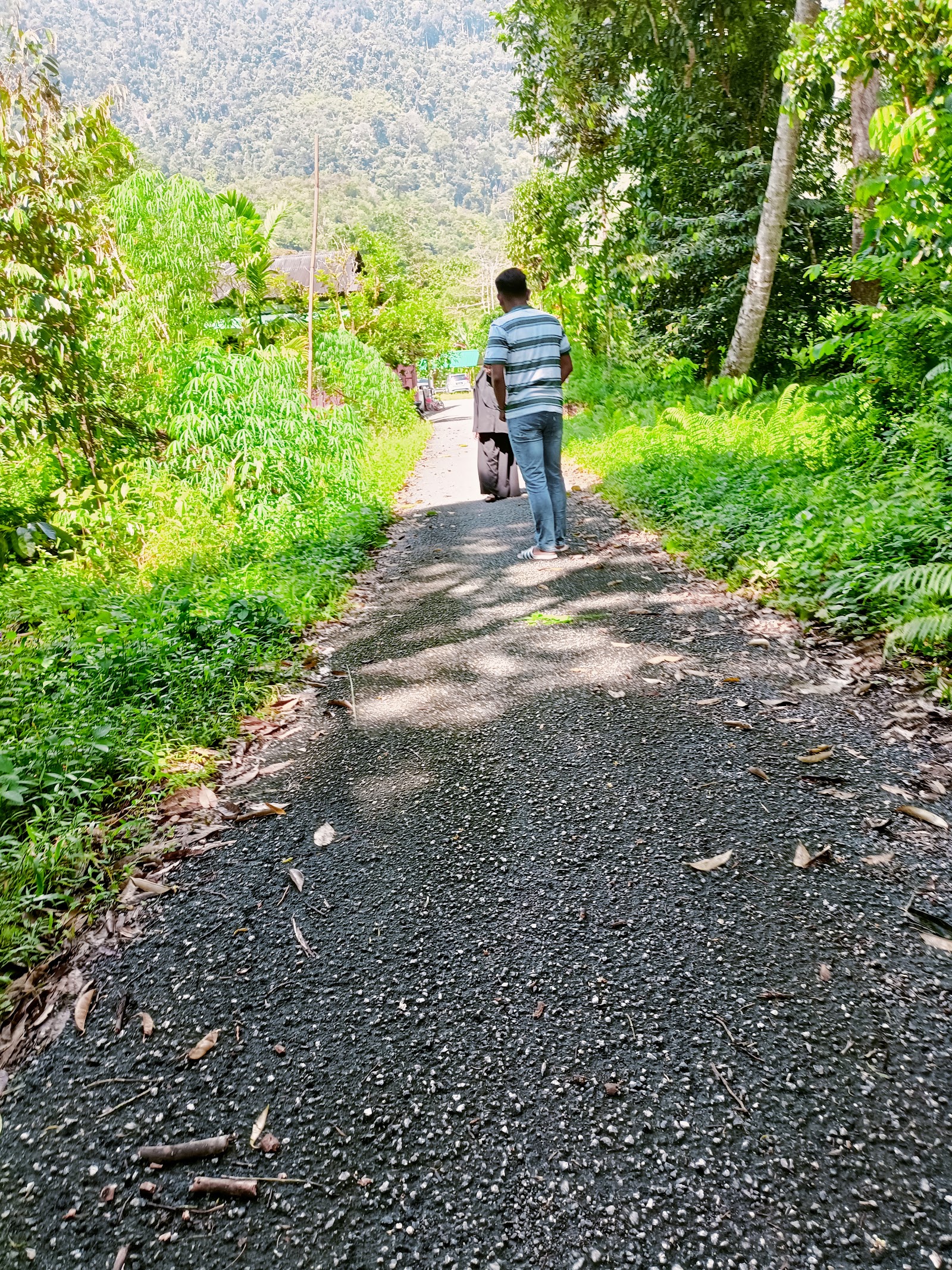 Kolam Pancing Udang Galah Air Gunung, kolam pancing di Perak (gambar 3)