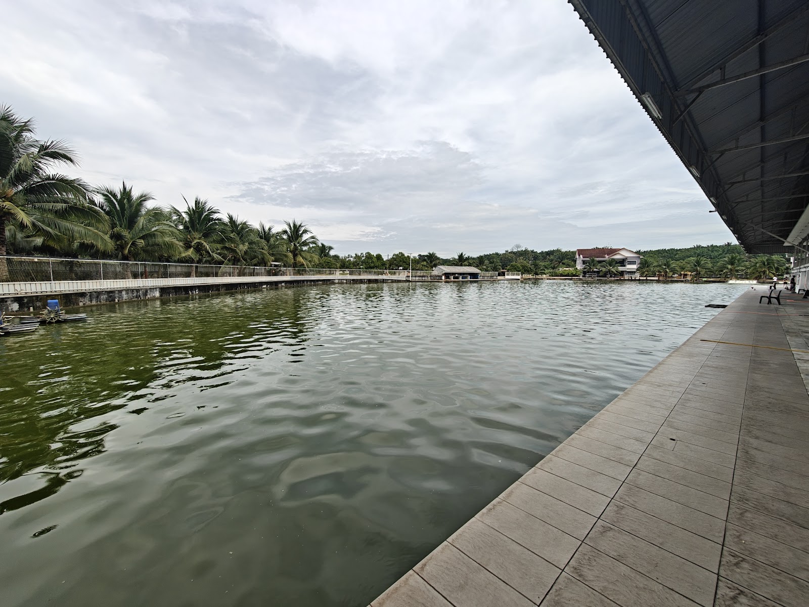 Natural Exotic Fish Fishing Pond ( WL ), kolam pancing di Tanjong Malim, Perak (gambar 2)