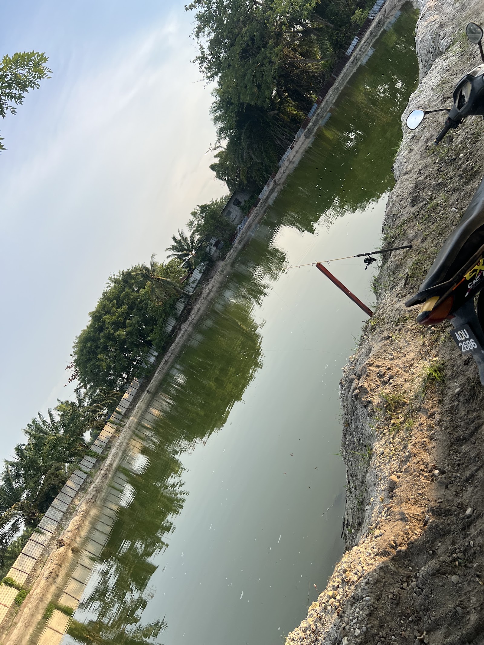 Kolam pancing FT chenderong, fishing pond in Perak (photo 3)